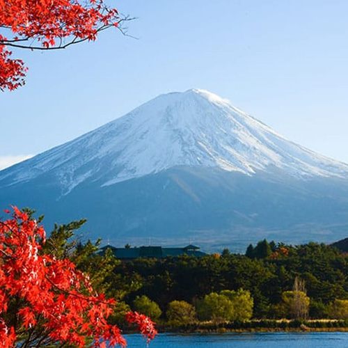 Snow-capped Mount Fuji framed by red autumn maples, Japan