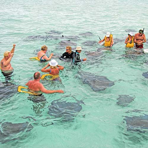 Cruise guests wading among stingrays on a shallow Caribbean sandbar